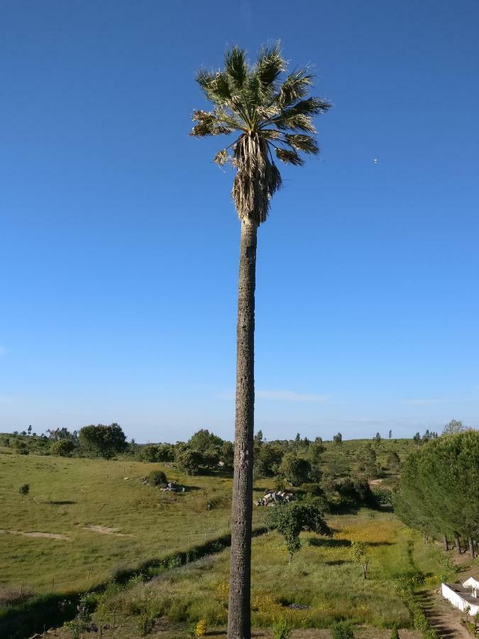 בית הארחה Ciborro 	Quinta Da Abrunheira - Gustavo Eiffel מראה חיצוני תמונה