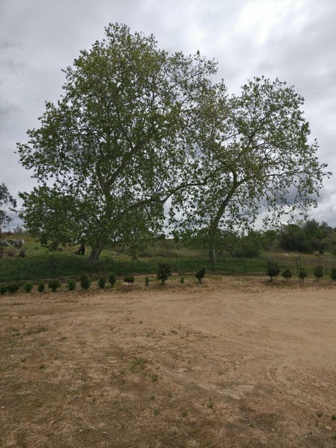 בית הארחה Ciborro 	Quinta Da Abrunheira - Gustavo Eiffel מראה חיצוני תמונה